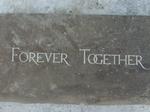The Hartnolls Wedding Anniversary gift for an inspirational garden.Threshold slab under Rose archway